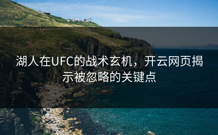 湖人在UFC的战术玄机，开云网页揭示被忽略的关键点
