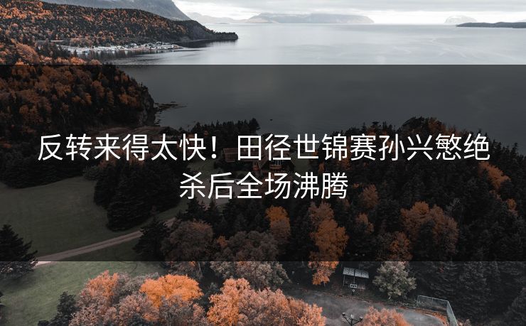 反转来得太快!田径世锦赛孙兴慜绝杀后全场沸腾 反转来得太快!田径世锦赛孙兴慜绝杀后全场沸腾