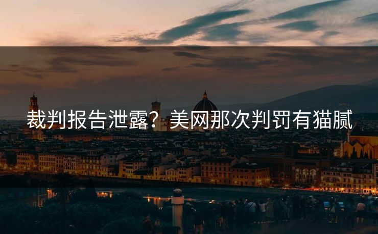 裁判报告泄露？美网那次判罚有猫腻
